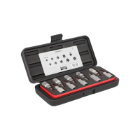 Набір головок торцевих BAHCO TORX T20 - T55 (7809TORX/10)