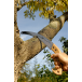 BAHCO pruning saw for dry and hard wood (4211-11-6T)