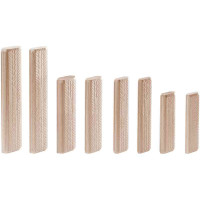 FESTOOL - DOMINO beech D 12x100/100 BU (100 pcs.) (498216)