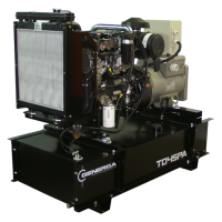 Diesel power station GENERGA TD45PA in open design (TD45PA) Diesel power station GENERGA TD45PA in open design (TD45PA)