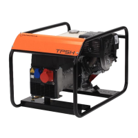 Three-phase gasoline generator GENERGA TP5H (GENERGA) (TP5H)