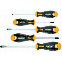 Набор отверток ERGONIC; 4.0х100 / 5.5х125 / 6.5х150 / Ph1x80 / Ph2x100; CrMoV сталь; хром.