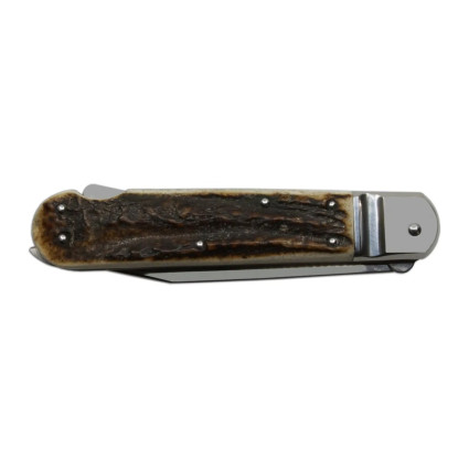 HUNTER 2-piece Folding Hunting Knife with Saw – Antler Handle Scale 230-XP-2 HUNTER 2-piece Folding Hunting Knife with Saw – Antler Handle Scale 230-XP-2