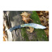 Kukri knife GURU 395-NG-29