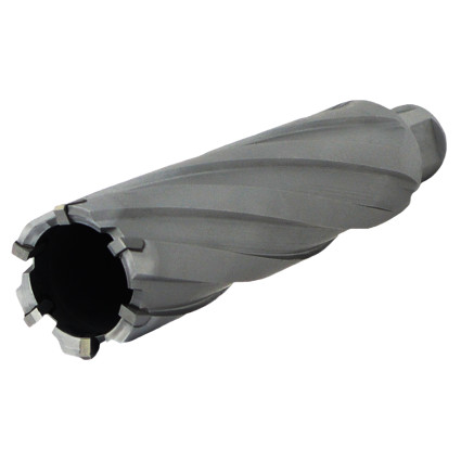 Annular cutter PROFITOOL 22x100 mm carbide teeth Sandvik H10F, WELDON shank 19 mm (4122100TCT)