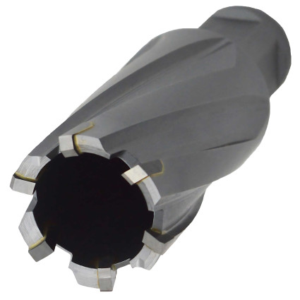 Фреза кольцевая PROFITOOL 23x35 мм твердосплавные зубья Sandvik H10F хвостовик WELDON 19 мм (412335TCT)