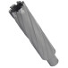 Annular cutter PROFITOOL 24x100 mm carbide teeth Sandvik H10F, WELDON shank 19 mm (4124100TCT)