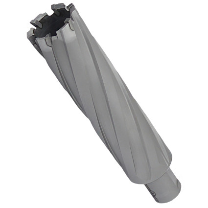 Annular cutter PROFITOOL 25x100 mm carbide teeth Sandvik H10F, WELDON shank 19 mm (4125100TCT)