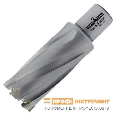 Фреза кільцева PROFITOOL 28х55 мм твердосплавні зубці Sandvik H10F хвостовик WELDON 19 мм (412855TCT)