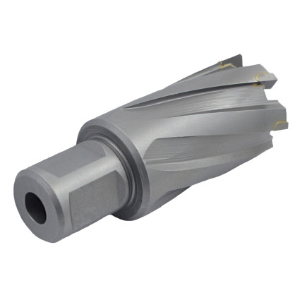 Фреза кольцевая PROFITOOL 32x35 мм твердосплавные зубья Sandvik H10F хвостовик WELDON 19 мм (413235TCT)