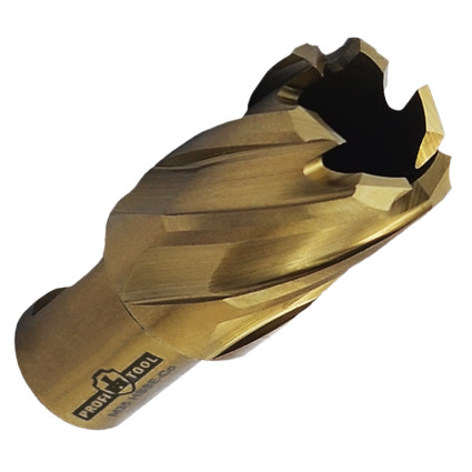 Фреза кольцевая PROFITOOL 37х30 мм, M35 HSS-Co, хвостовик WELDON 19 мм (413730M35) Фреза кольцевая PROFITOOL 37х30 мм, M35 HSS-Co, хвостовик WELDON 19 мм (413730M35)